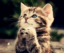 modle się bo wiem rze jak się pomodle to zostane człowiekiem