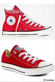 Które polecacie? Mam już białe  (krótkie) więc kolor by się przydał, ale nie mogę się zdecydować 