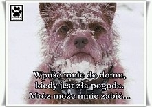 Wpuść mnie do domu...