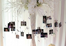 atrakcja weselna - drzewko ...