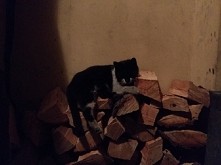 Tak mi dobrze :)
Pamiętajm...