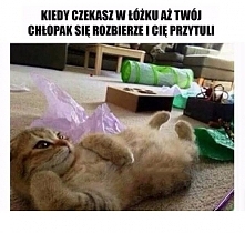 HAHAHAH jak bym widziała siebie