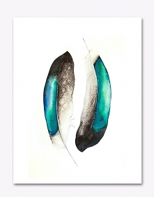 Pióra #1 - plakat, reprodukcja 20x30cm