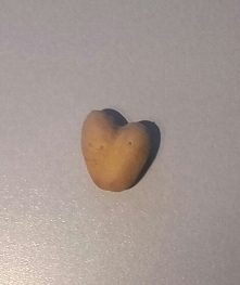 takie cudo znalazłam w worku :)