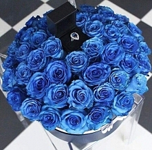 blue roses