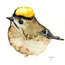 Mysikrólik - plakat, reprodukcja 20x30cm