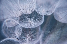 POLUB MNIE NA FACEBOOKU ! Zapraszam :) Link w komentarzu