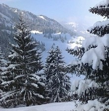 #winter #beautiful #