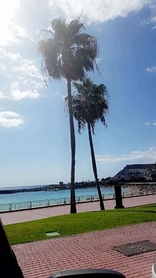 Amadores 2015 lato prosze!!!