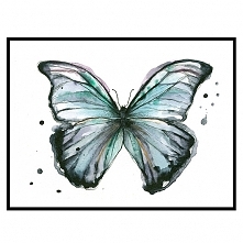 Motyl II, 21x30 cm, A4