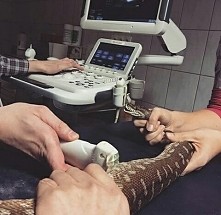 Andżela będzie mamą :D