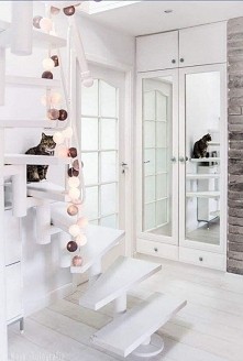 Cudowna biel. I kot też ^^