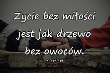 Życie bez miłości jest jak drzewo bez owoców