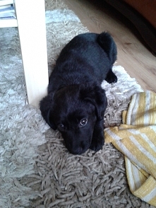 jak jeszcze była malutka :)