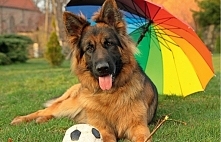 Najlepszy ♥ Najpiękniejszy ♥ Najukochańszy ♥