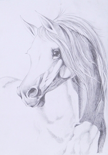 Obraz olowkiem, A4, praca mojego męża