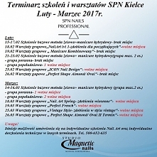 Studio Magnetic Nails Monik...