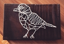 Zima trzyma a u mnie ptasze...