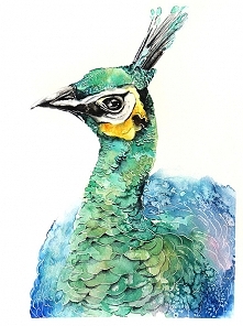 Paw portret - plakat, reprodukcja 30x40cm