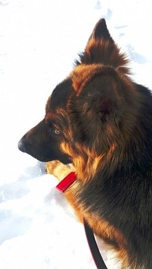 Ciąg dalszy mojej "piękności" 