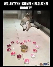 xD .
