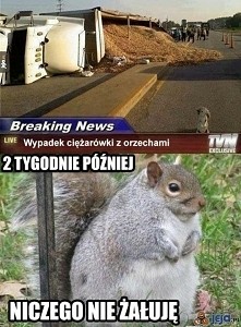 no wlasnie
