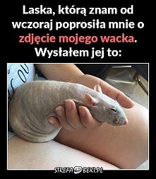 miszczu xD