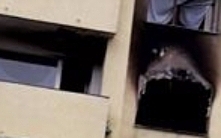 prosimy o pomoc kazdy grosz sie liczy