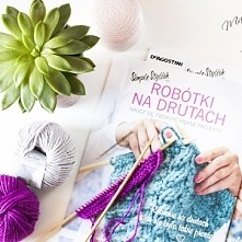 Recenzja serii Róbótki na drutach