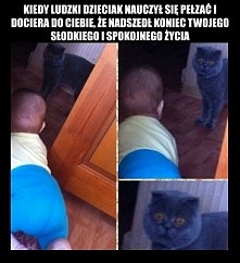 Takie życie z maluchem...