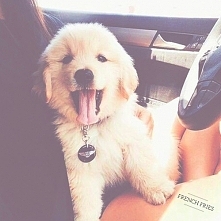 Cudowny *.*
