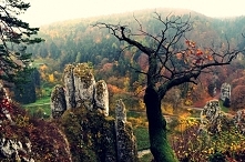 Skała Rękawica (woj. małopolskie)- zwana też Pięciopalcówką lub Białą Ręką – wybitna skała o charakterystycznym kształcie w Ojcowskim Parku Narodowym. Zbudowana jest z jurajskic...