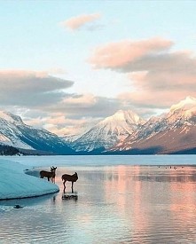 Glacier National Park