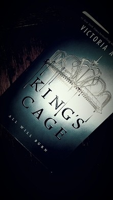 All will burn... Wciąga od pierwszej strony. Nic tylko czytać i czytać 