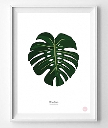 plakat LIŚĆ MONSTERY 30 x 40 cm