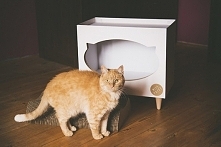 TVcat dpmek+ drapak dla kota