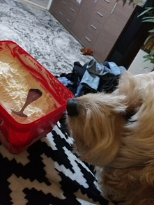 ~~ ja tez lubie lodyy..