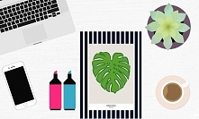 Darmowy plakat Monstera do pobrania