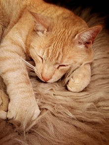 rude też jest piękne ❤❤❤