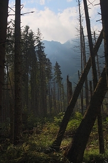 Zdjęcia z wyprawy w góry