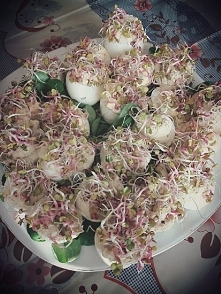 Jaja faszerowane pastą z ło...