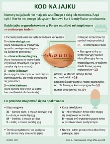 Jak czytać kody na jajku