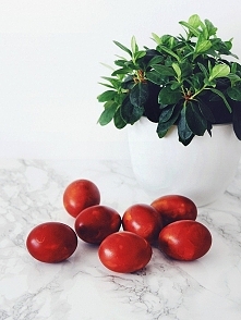 Wesołych Świąt! :)