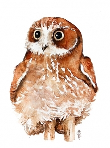 SÓWECZKA - plakat, reprodukcja 30x40cm