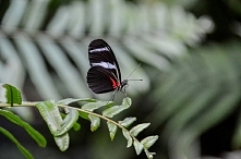 moje zdjęcia Nikon D3200