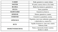 Kompletowanie bazy capsule wardrobe, tabela, poszczególne ubrania z ilością