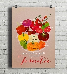 Pomidory - plakat kuchenny A2