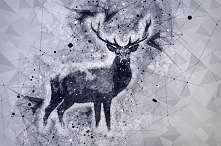 Moja pierwsza grafika na plakat