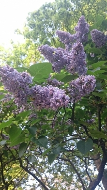 już nie mogę się doczekać, ...