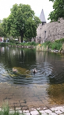 #travel #girl #polishgirl